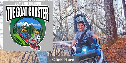 Alpine coaster in Pigeon Forge
